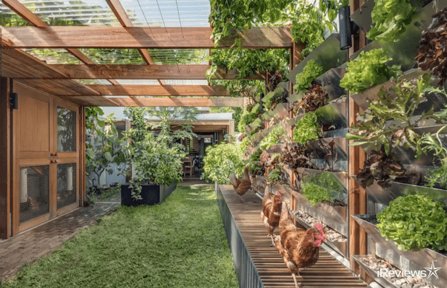 Couple Builds Fully Sustainable Garden Home in Sydney